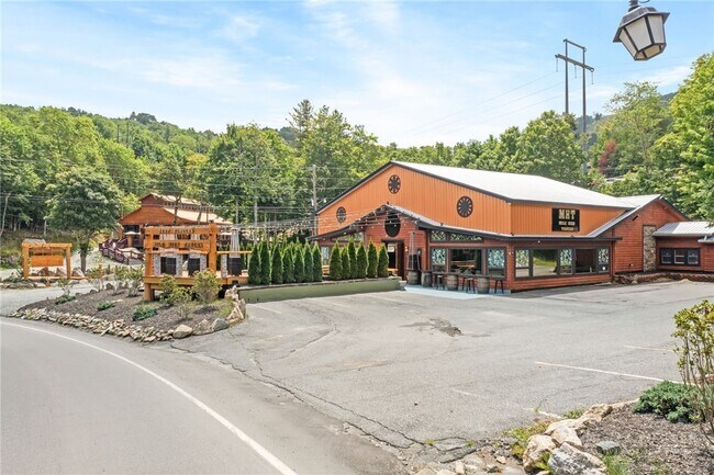 Building Photo - 1003 Beech Mountain Pkwy