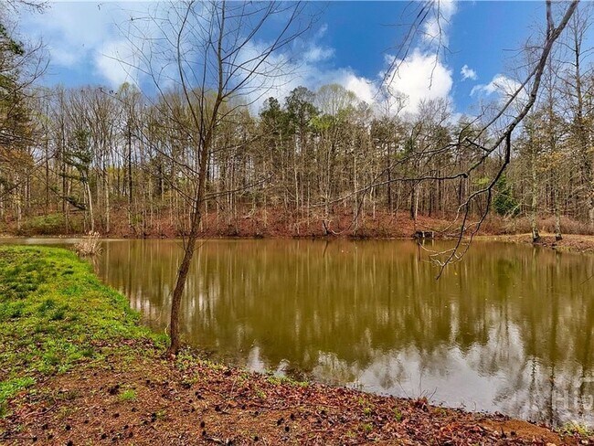 Building Photo - Beautiful 3BR/3BA Home with Private Pool in Commerce