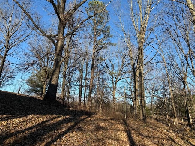 Building Photo - 649 Old Drake Temperance Rd