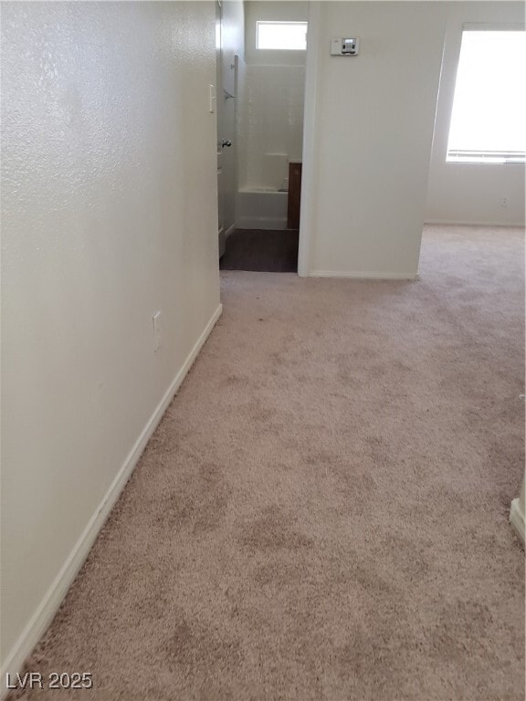 Building Photo - 3711 Lodina Ct