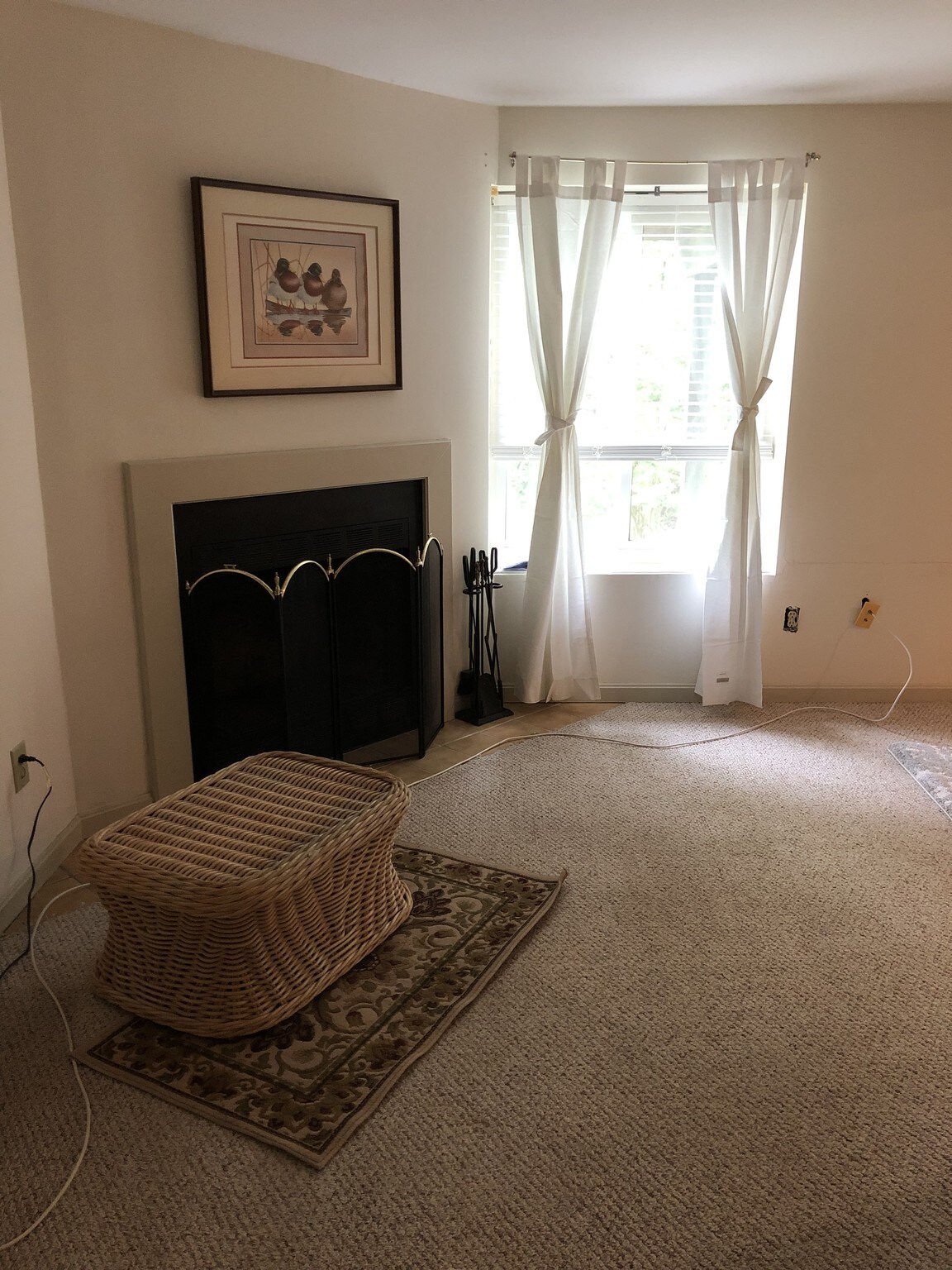 Lower level living area - 11117 Jardin Pl