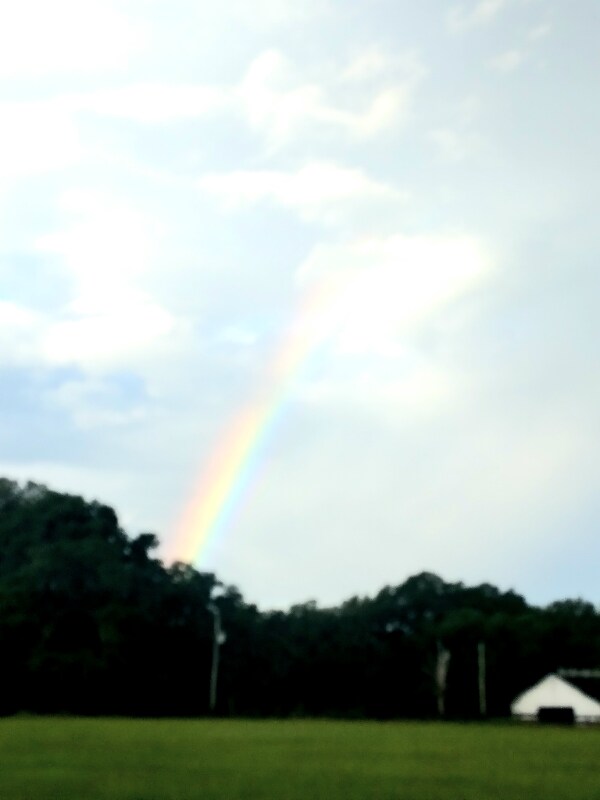 Building Photo - 8035 NW 120th St