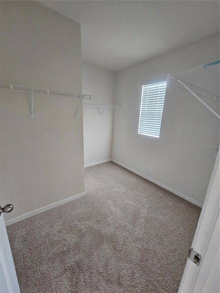 Building Photo - 1387 Berry Ln