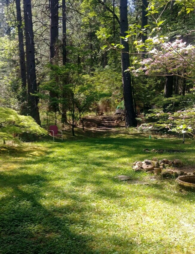 Building Photo - Unique fully furnished 1-2 bedroom property secluded on Newtown Road ten minutes from Placerville!
