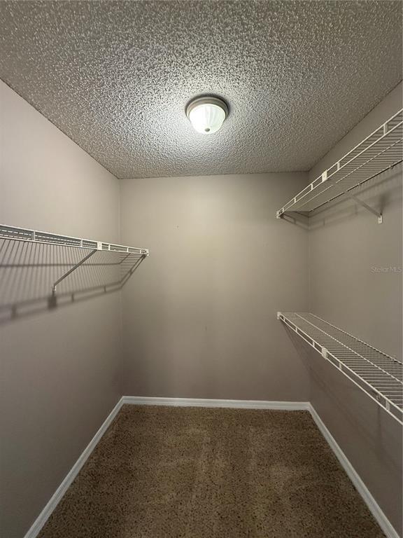 Building Photo - 8209 Olympia Ct
