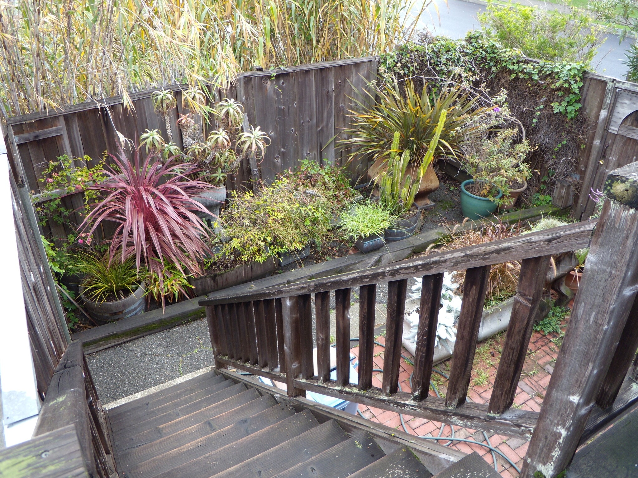 stairs going up to or exiting apt. - 913 Camelia St
