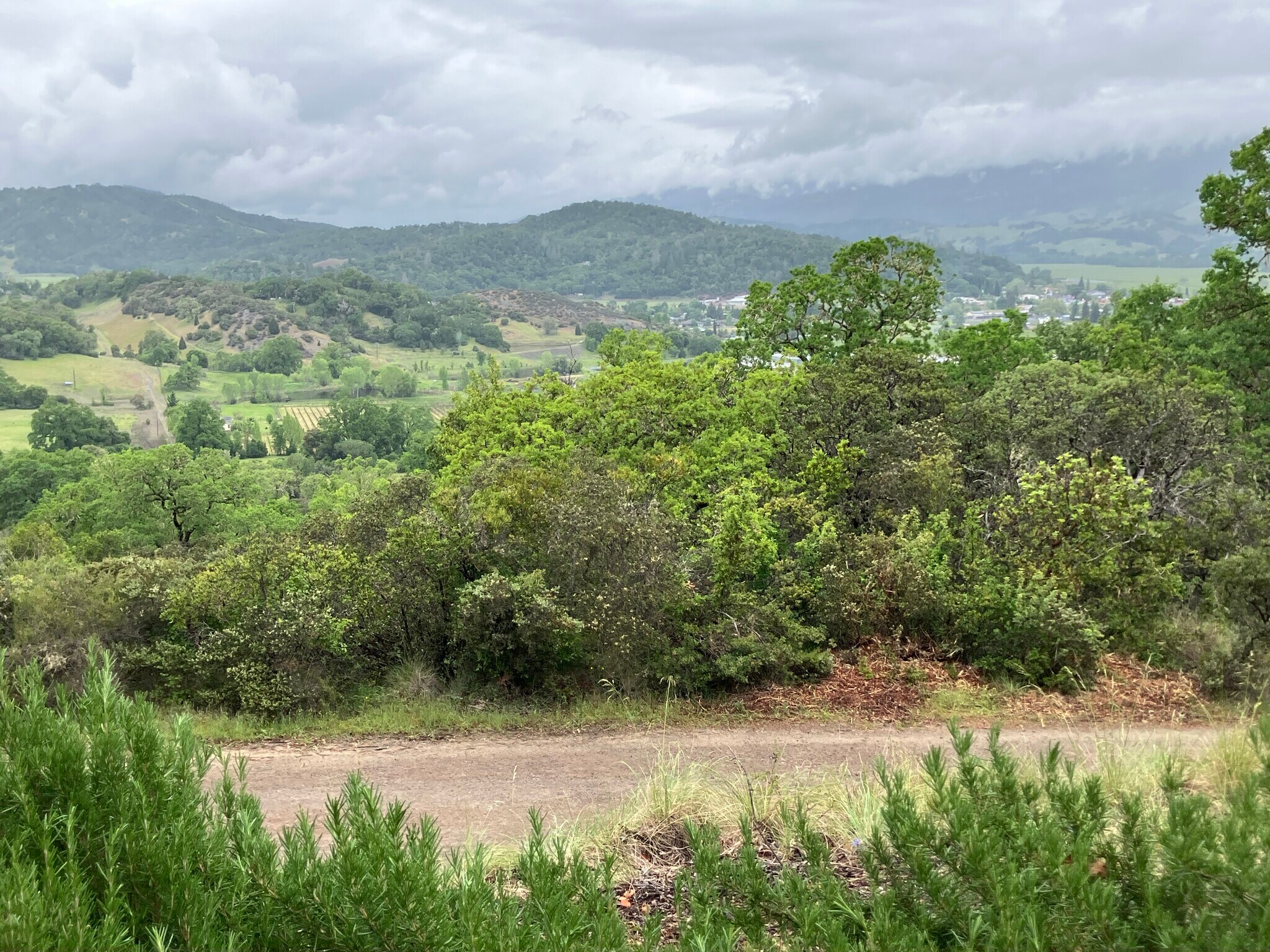 view from back porch - 1411 Duncan Springs Rd
