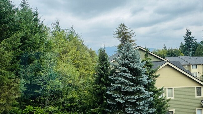 Building Photo - 3bd/3ba Issaquah Townhouse