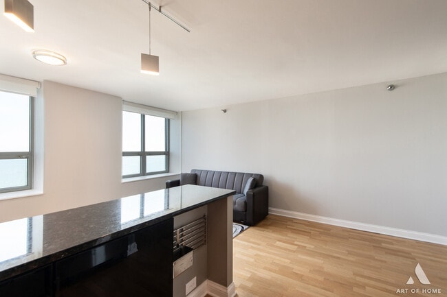 Building Photo - 474 N Lake Shore Dr