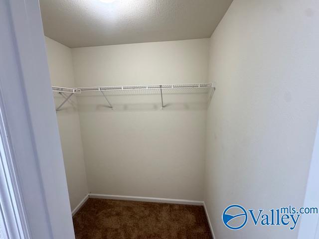 Building Photo - 146 Forestbrook Dr