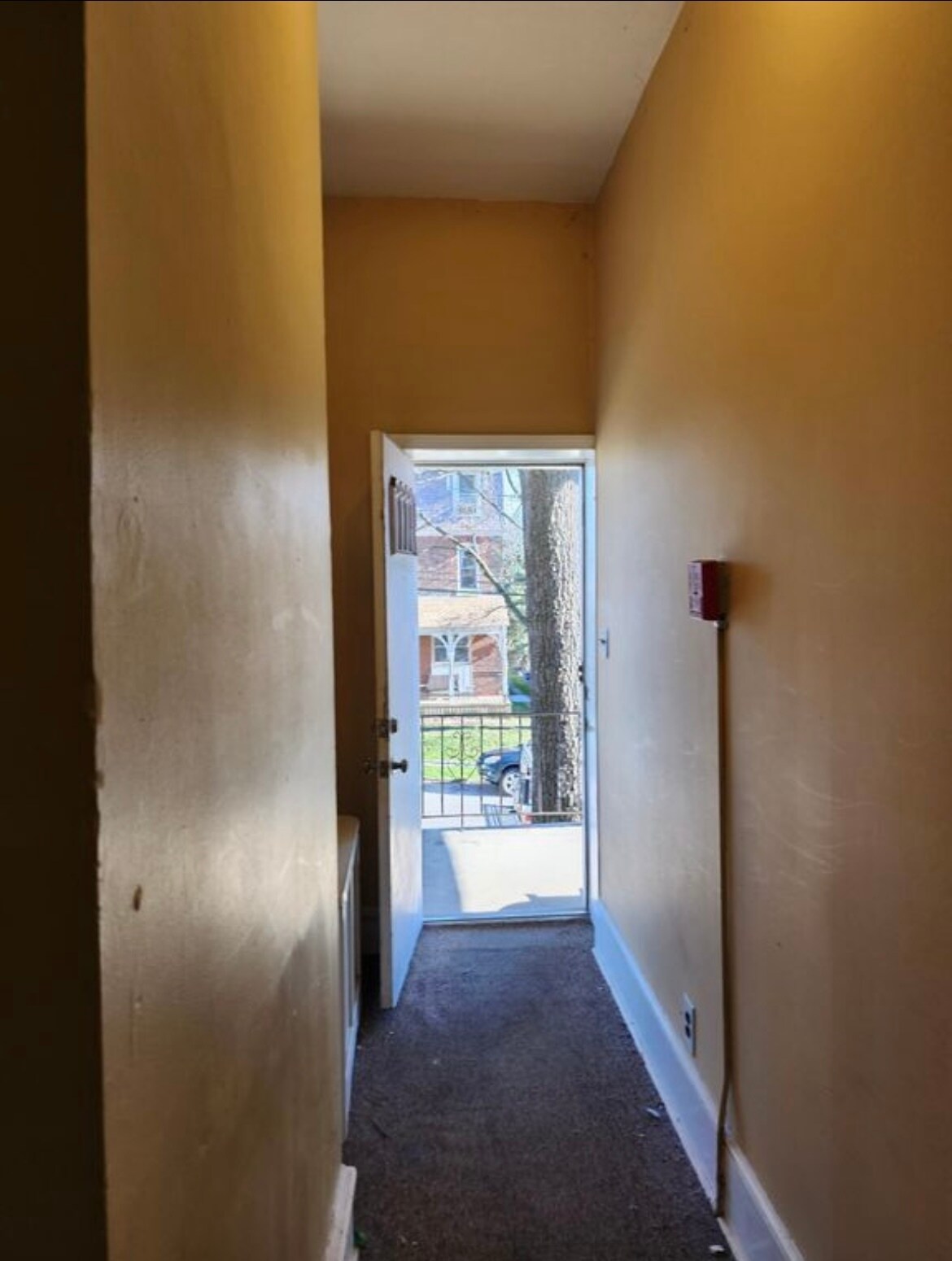 Building Photo - 163 Sumac St