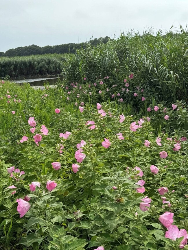 Building Photo - 493 Sagaponack Road