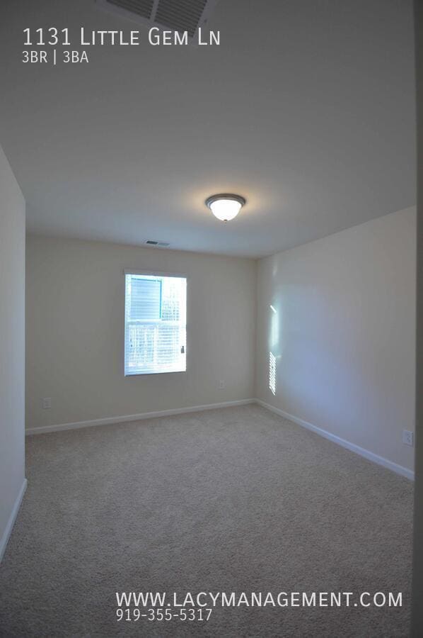 Building Photo - 1131 Little Gem Ln