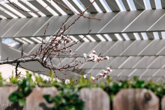 Building Photo - 2506 Weston Pl