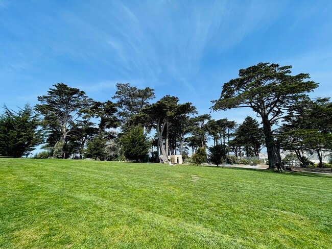 Building Photo - 780 Hayes St