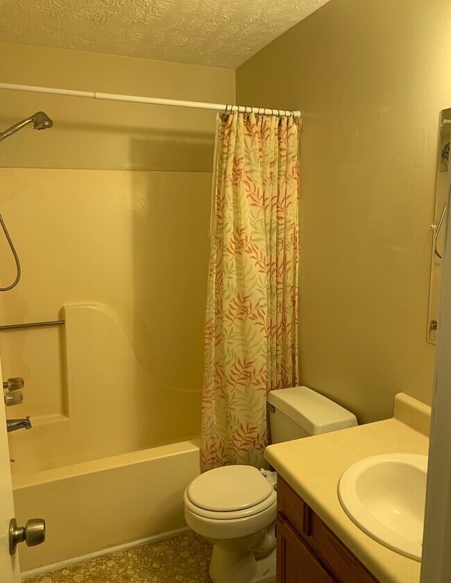 Building Photo - Buena Vista Cottage for Rent!