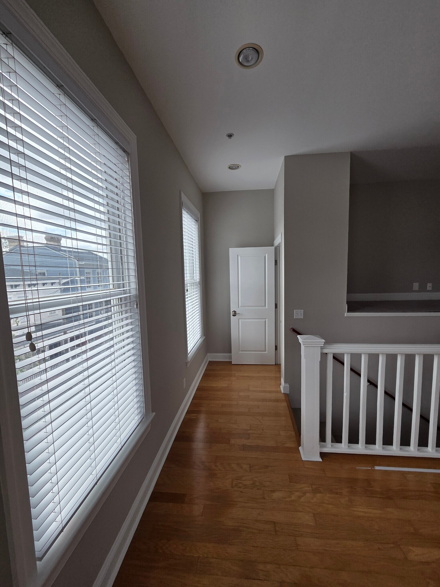 Seven windows! - 302 Lorch St