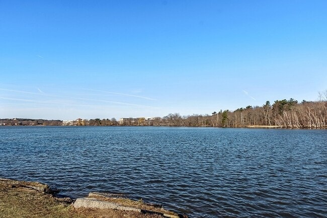 Building Photo - 272 Albion St