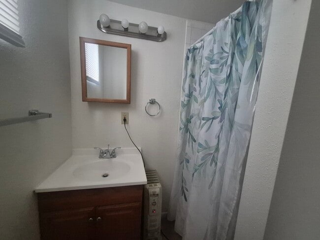 Building Photo - 828 1/2 E Cache La Poudre St