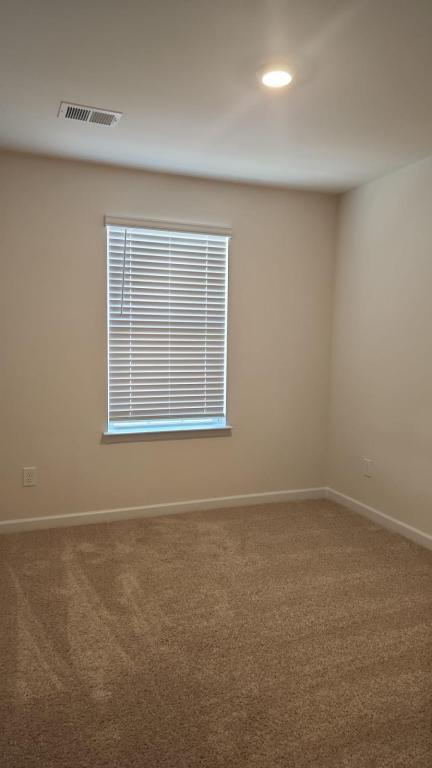 Building Photo - 1376 Amberview Ln