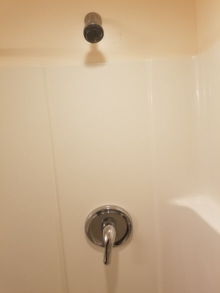 Shower 3 - 39 N Archmore St