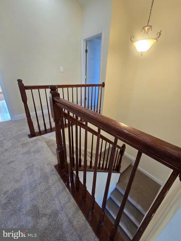 Building Photo - 116 Douglas Dr