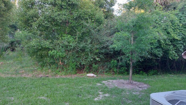 Building Photo - Townhome in Baymeadows