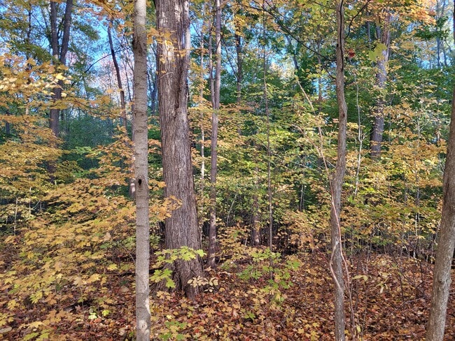 Building Photo - 11737 21 Mile Rd