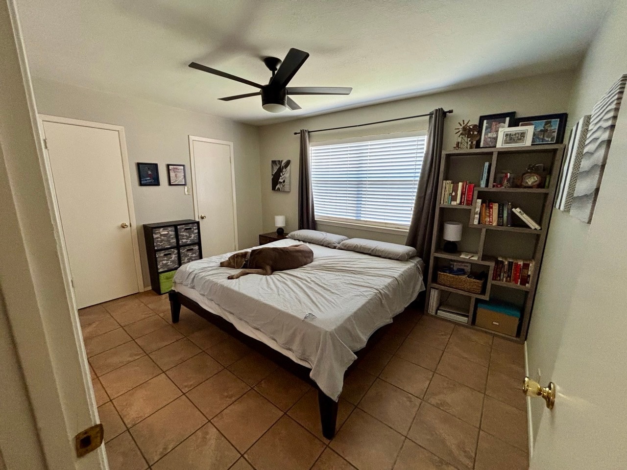 Master Bedroom - 9601 Nightjar Dr