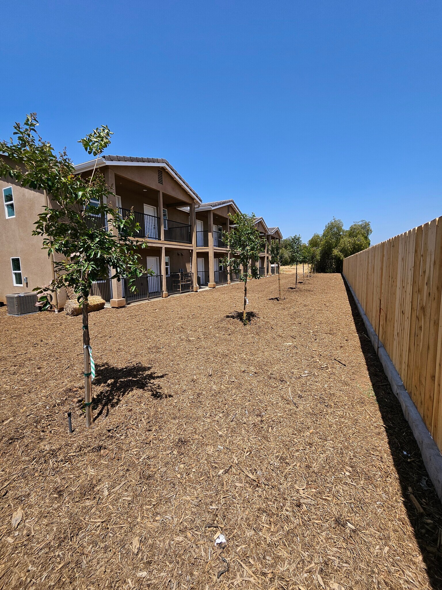 shared back yard - 1137 Sumner Ave