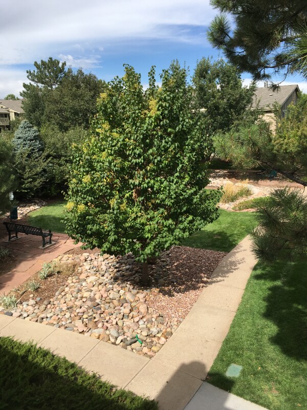 4400 S Quebec St 4400 S Quebec St Denver CO 80237 Apartment Finder