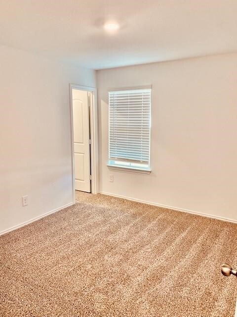 Building Photo - 5139 Ternberry Frst Ln
