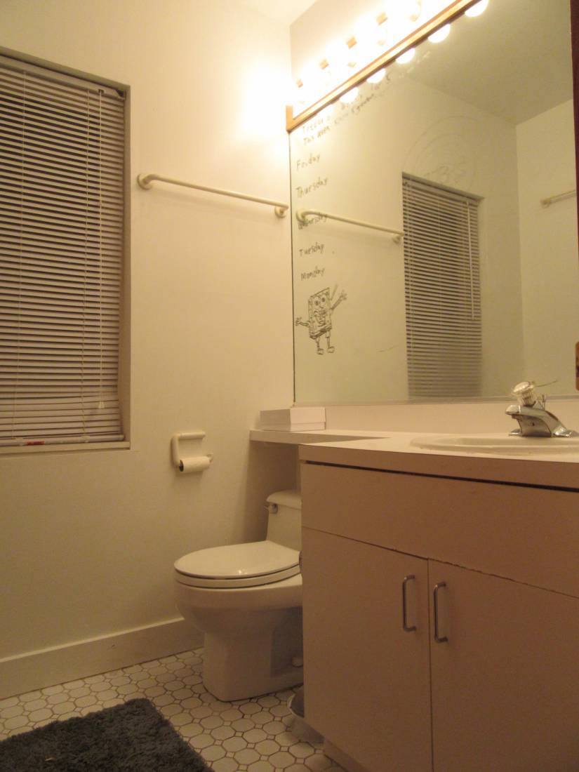 Guest Bath - 1453 W Belmont Ave