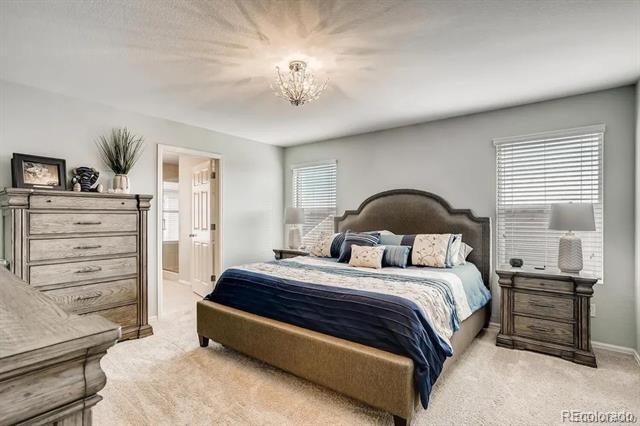 Building Photo - 2212 Shadow Creek Dr