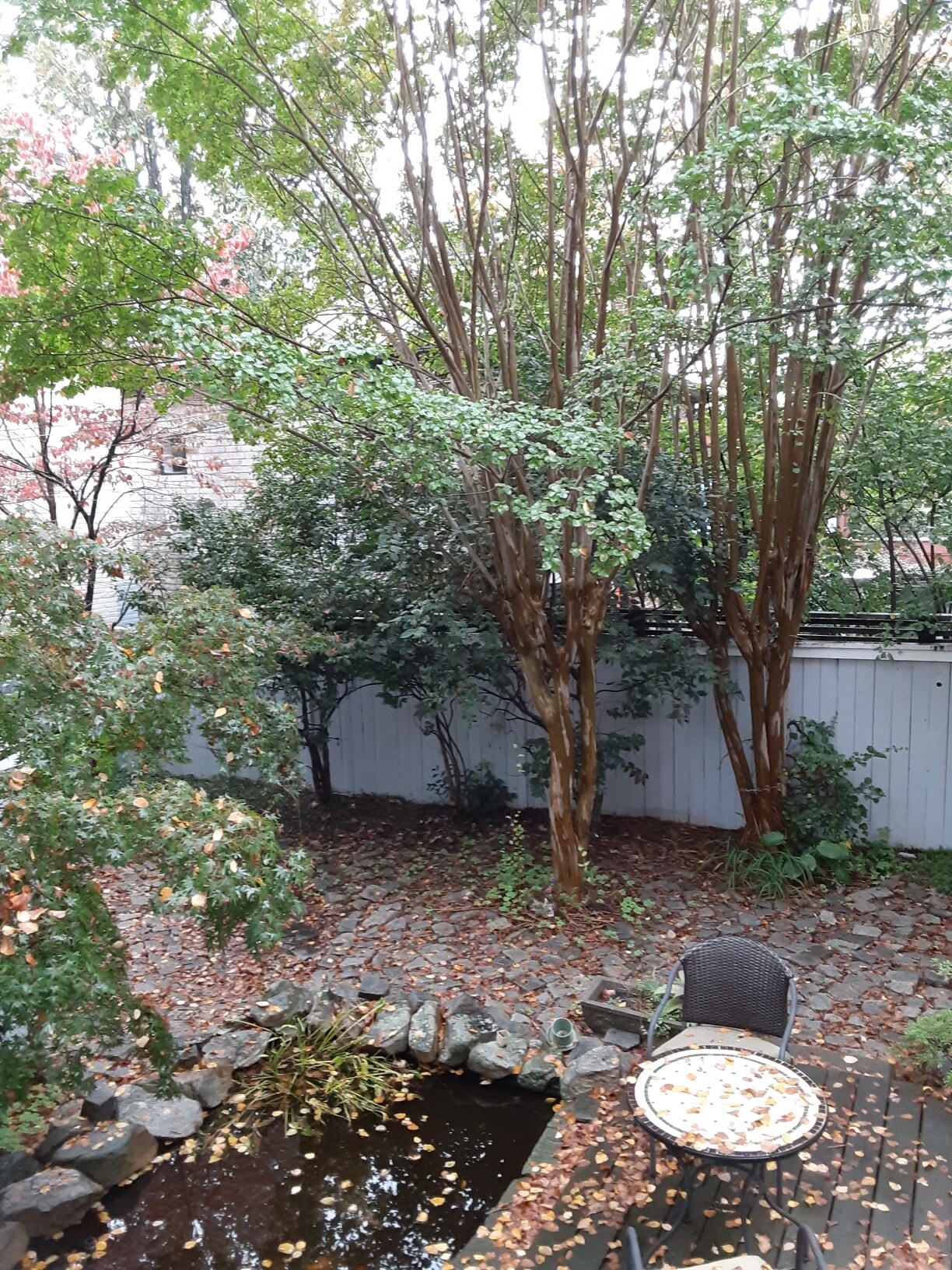 Building Photo - 1421 Grove Ave