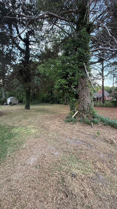 Building Photo - 335 Claremont St