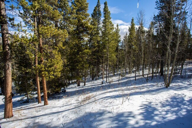 Building Photo - Flexible lease terms! Move in special! Stu...