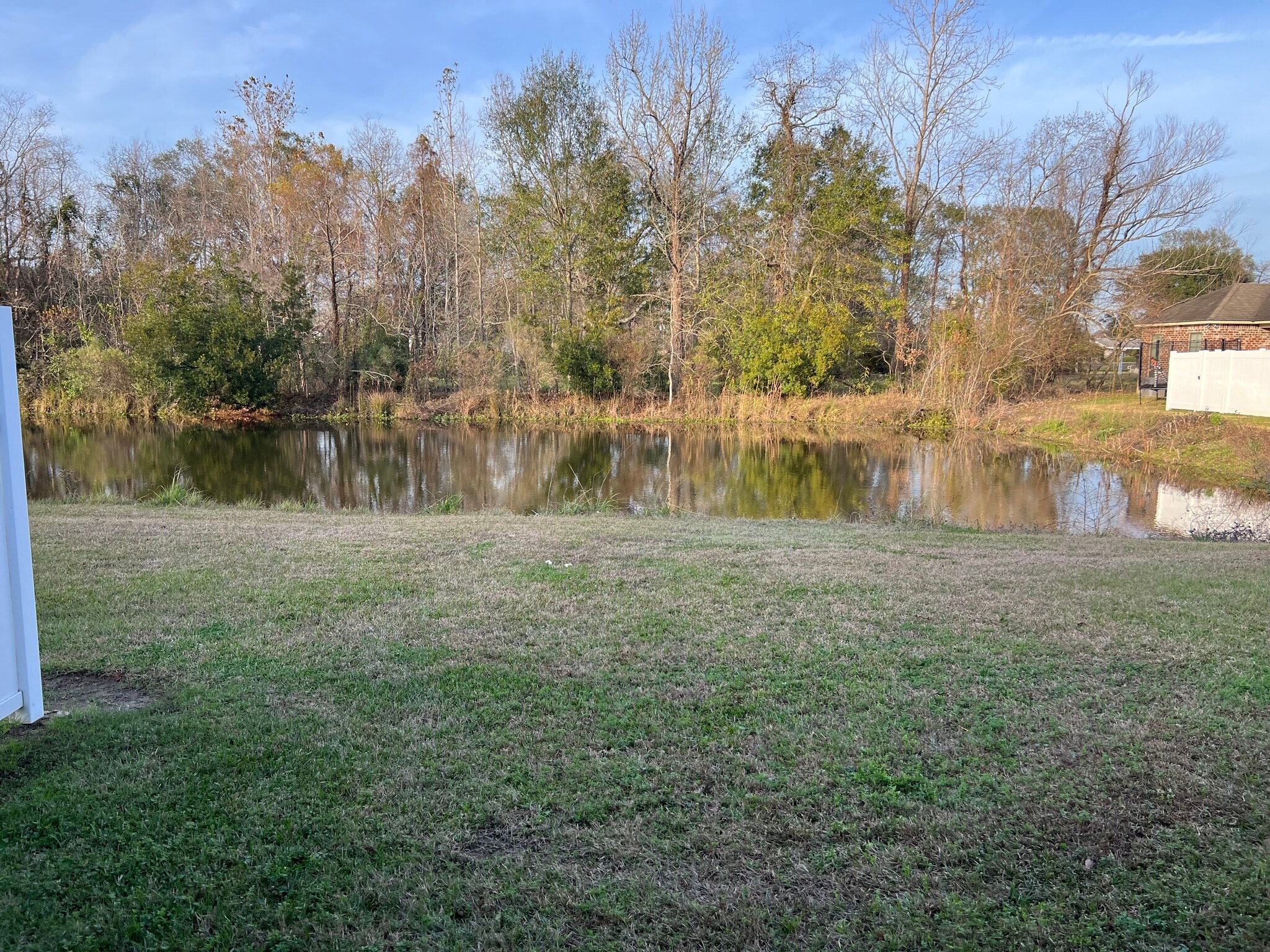 Backyard - 37150 Woodgate Ave