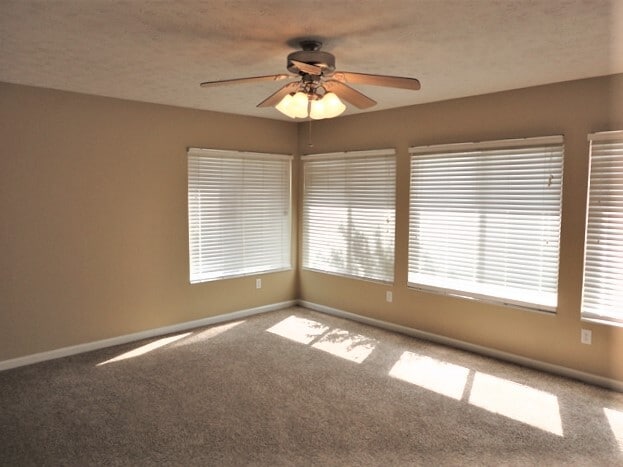 Building Photo - 9909 Olde Park Dr