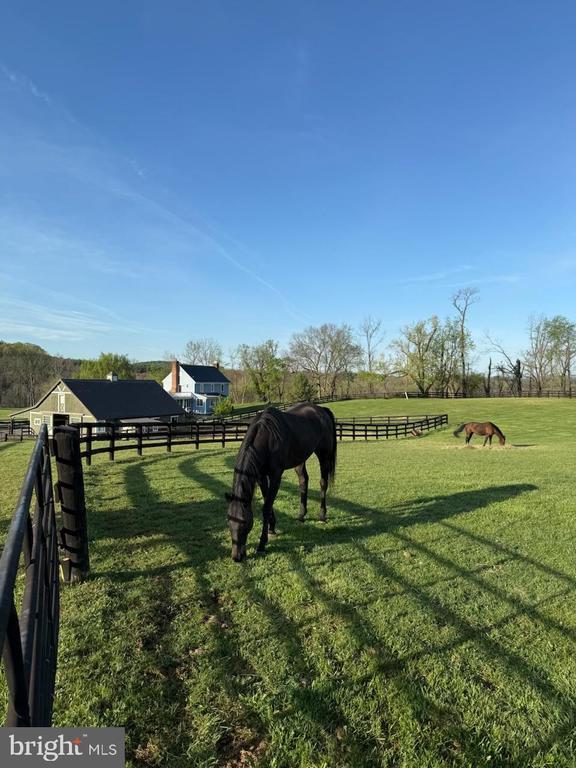 Building Photo - 15642 Old Waterford Rd