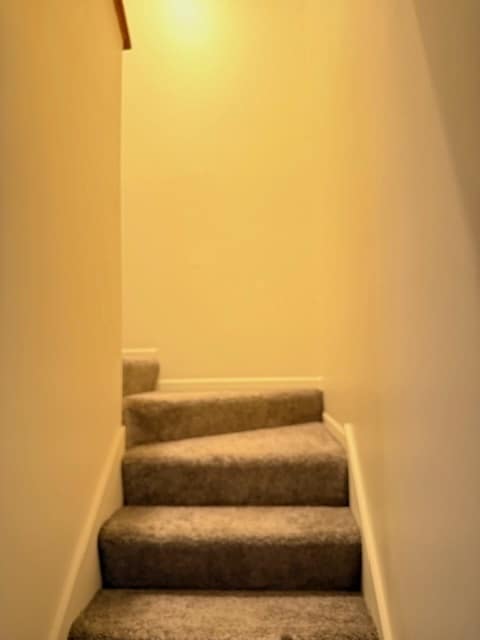 Building Photo - 1334 Arlington Ct