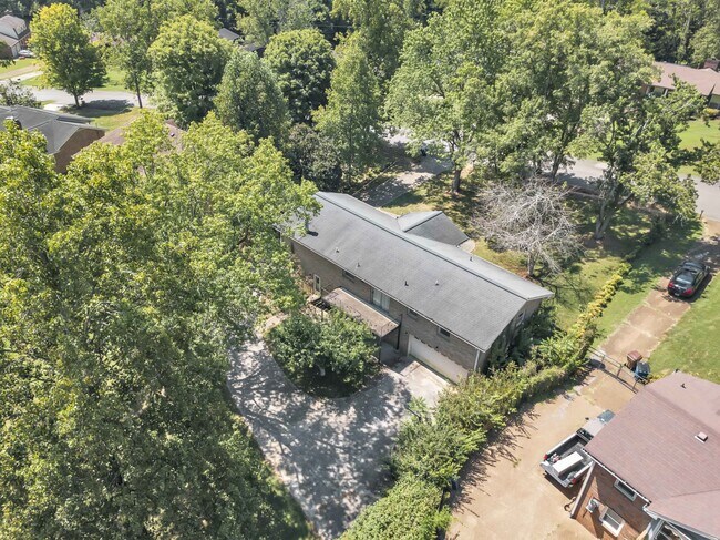 Building Photo - 509 Mathes Ct