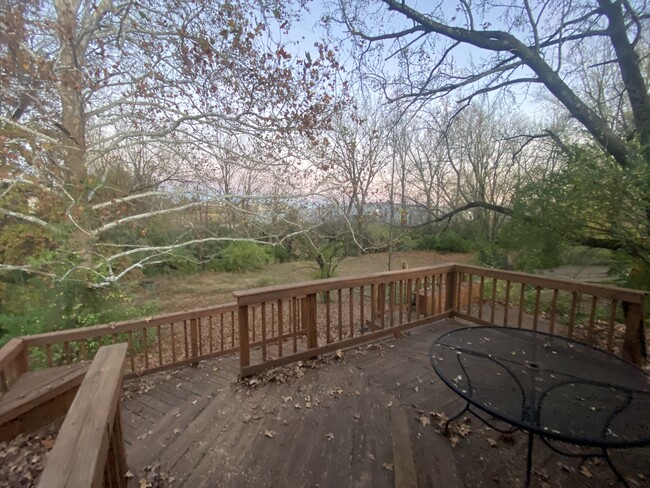 Backyard - 2603 Old Hickory Rd