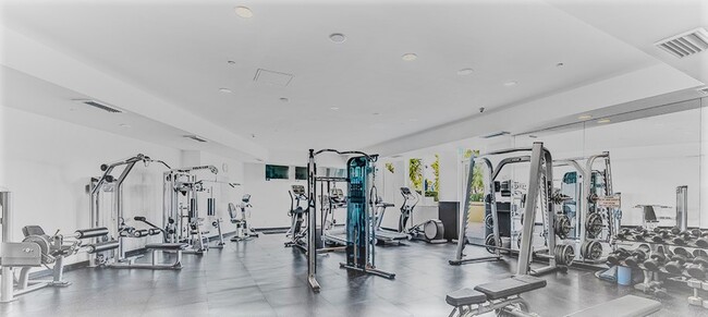 Gym - 2475 Brickell Ave