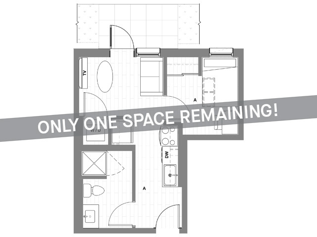 1x1 Junior Courtyard - Only One Space Remaining! - HERE Seattle Student Apartments