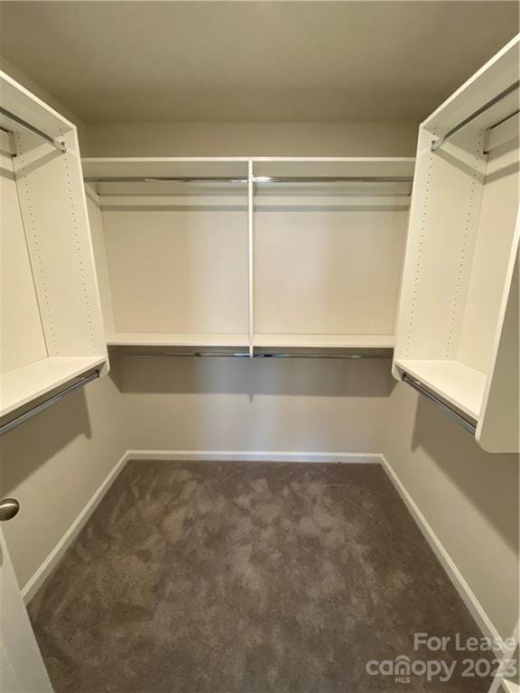 Building Photo - 13045 Cottage Crst Ln