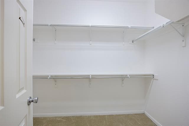 Building Photo - 1413 Cedarbird Dr