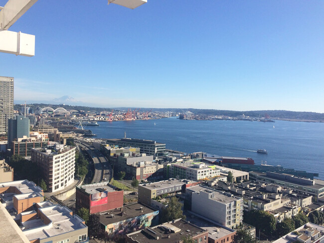 View from rooftop deck - 121 Vine St