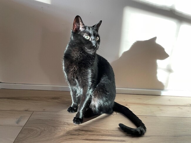 Building Photo - 83 Hanover St