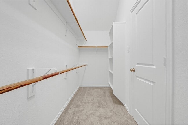 Building Photo - 2719 Timberwood Pk Ln